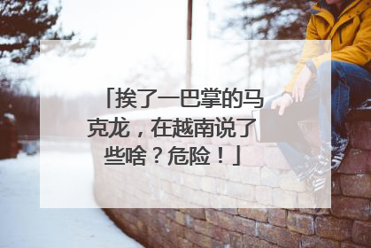 挨了一巴掌的马克龙，在越南说了些啥？危险！