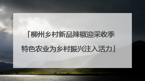 柳州乡村新品辣椒迎采收季 特色农业为乡村振兴注入活力
