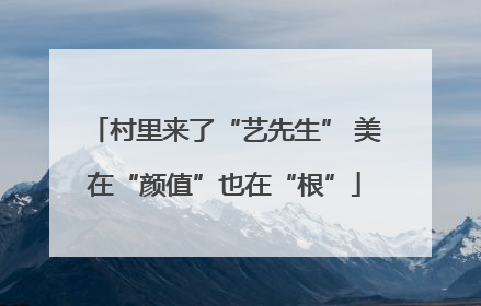 村里来了“艺先生” 美在“颜值”也在“根”
