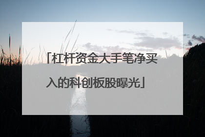杠杆资金大手笔净买入的科创板股曝光