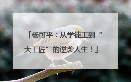 杨可平：从学徒工到“大工匠”的逆袭人生！