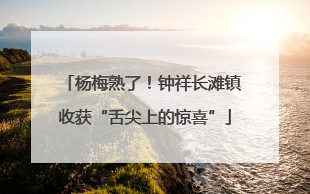 杨梅熟了！钟祥长滩镇收获“舌尖上的惊喜”
