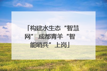 构建水生态“智慧网” 成都青羊“智能哨兵”上岗