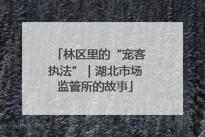 林区里的“宠客执法”｜湖北市场监管所的故事