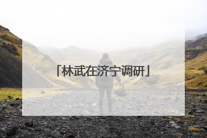林武在济宁调研