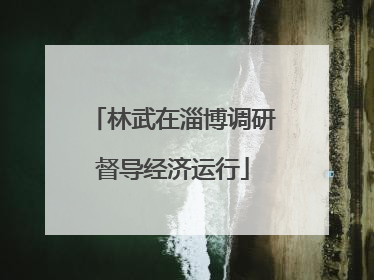 林武在淄博调研督导经济运行