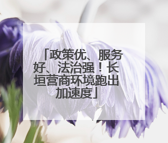 政策优、服务好、法治强！长垣营商环境跑出加速度