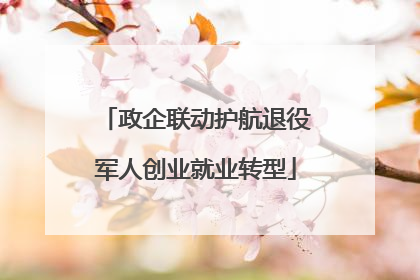 政企联动护航退役军人创业就业转型