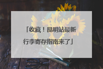 收藏！昆明站最新行李寄存指南来了