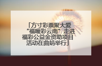 方寸彩票聚大爱 “福暖彩云南”走进福彩公益金资助项目活动在曲靖举行