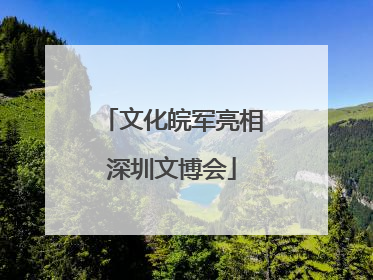 文化皖军亮相深圳文博会