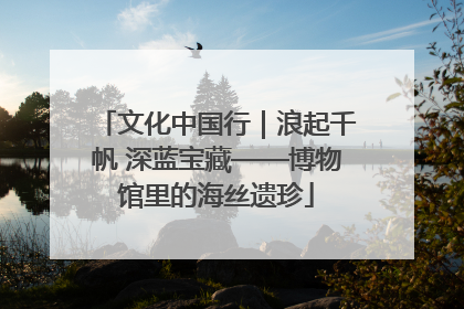 文化中国行｜浪起千帆 深蓝宝藏——博物馆里的海丝遗珍