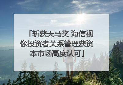 斩获天马奖 海信视像投资者关系管理获资本市场高度认可