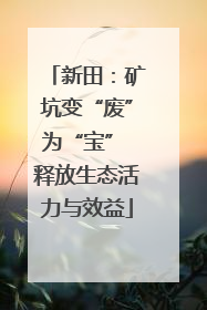 新田：矿坑变“废”为“宝” 释放生态活力与效益