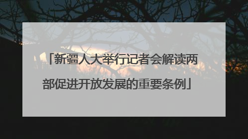 新疆人大举行记者会解读两部促进开放发展的重要条例