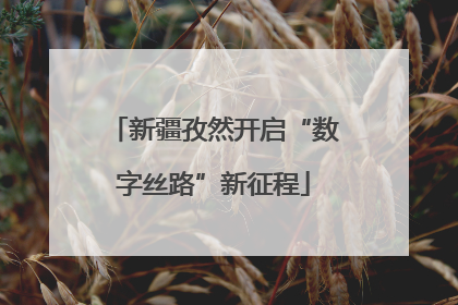 新疆孜然开启“数字丝路”新征程