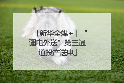 新华全媒+｜“疆电外送”第三通道投产送电
