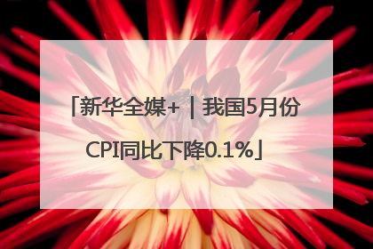 新华全媒+｜我国5月份CPI同比下降0.1%