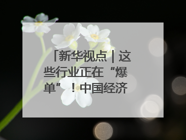 新华视点｜这些行业正在“爆单”！中国经济活力密码