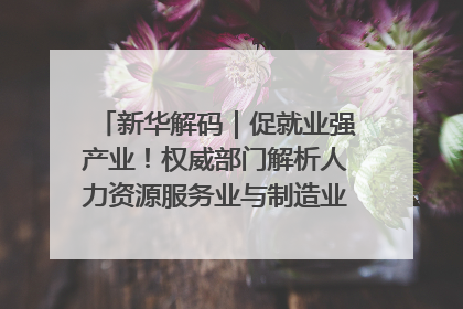 新华解码｜促就业强产业！权威部门解析人力资源服务业与制造业融合发展试点