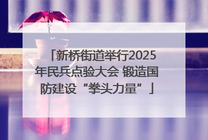 新桥街道举行2025年民兵点验大会 锻造国防建设“拳头力量”