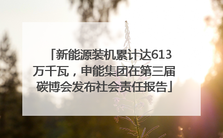 新能源装机累计达613万千瓦，申能集团在第三届碳博会发布社会责任报告