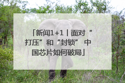 新闻1+1丨面对“打压”和“封锁” 中国芯片如何破局