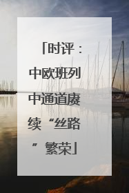 时评：中欧班列中通道赓续“丝路”繁荣