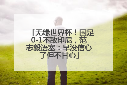无缘世界杯！国足0-1不敌印尼，范志毅语塞：早没信心了但不甘心