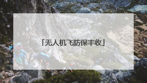 无人机飞防保丰收