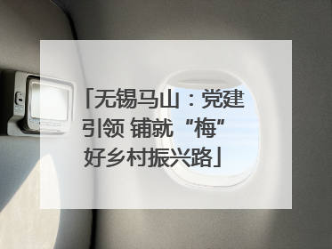 无锡马山：党建引领 铺就“梅”好乡村振兴路
