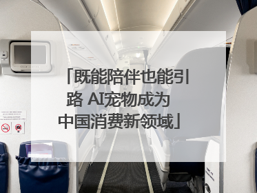 既能陪伴也能引路 AI宠物成为中国消费新领域