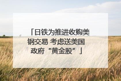日铁为推进收购美钢交易 考虑送美国政府“黄金股”