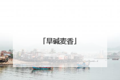 旱碱麦香