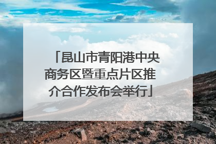 昆山市青阳港中央商务区暨重点片区推介合作发布会举行