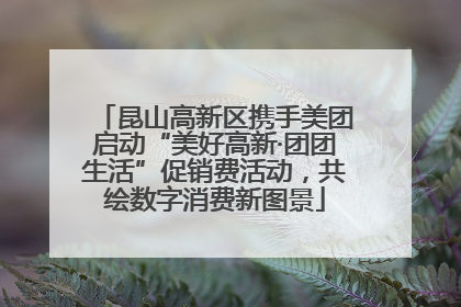 昆山高新区携手美团启动“美好高新·团团生活”促销费活动，共绘数字消费新图景