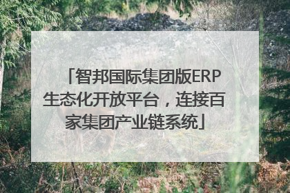 智邦国际集团版ERP生态化开放平台，连接百家集团产业链系统