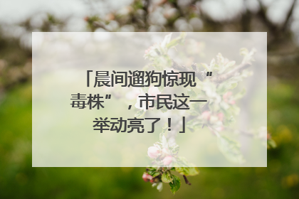 晨间遛狗惊现“毒株”，市民这一举动亮了！