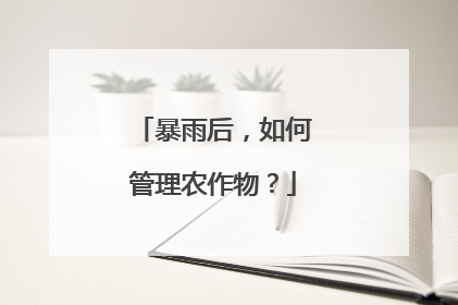 暴雨后，如何管理农作物？