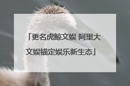 更名虎鲸文娱 阿里大文娱锚定娱乐新生态