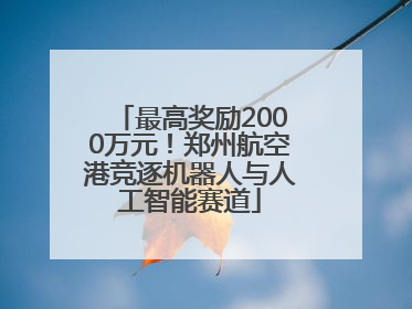 最高奖励2000万元！郑州航空港竞逐机器人与人工智能赛道