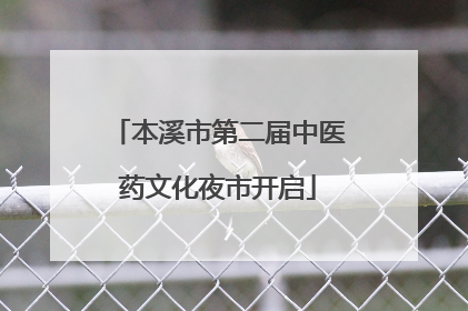 本溪市第二届中医药文化夜市开启