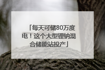 每天可储80万度电！这个大型锂钠混合储能站投产