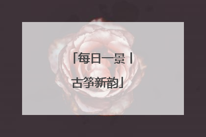 每日一景丨 古筝新韵