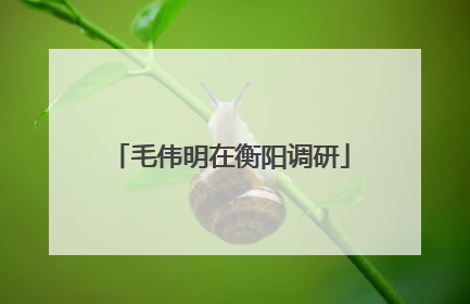 毛伟明在衡阳调研