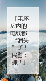 毛坯房内的电线都“消失”了！民警：抓！