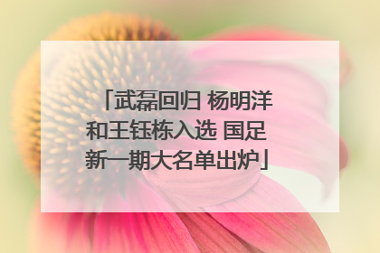 武磊回归 杨明洋和王钰栋入选 国足新一期大名单出炉