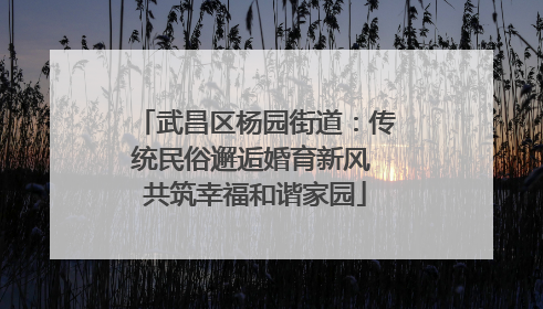 武昌区杨园街道：传统民俗邂逅婚育新风 共筑幸福和谐家园