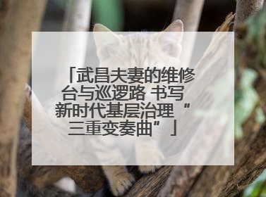 武昌夫妻的维修台与巡逻路 书写新时代基层治理“三重变奏曲”
