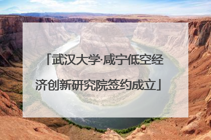 武汉大学·咸宁低空经济创新研究院签约成立